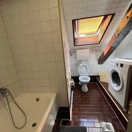 Apartment Downtown Nest *