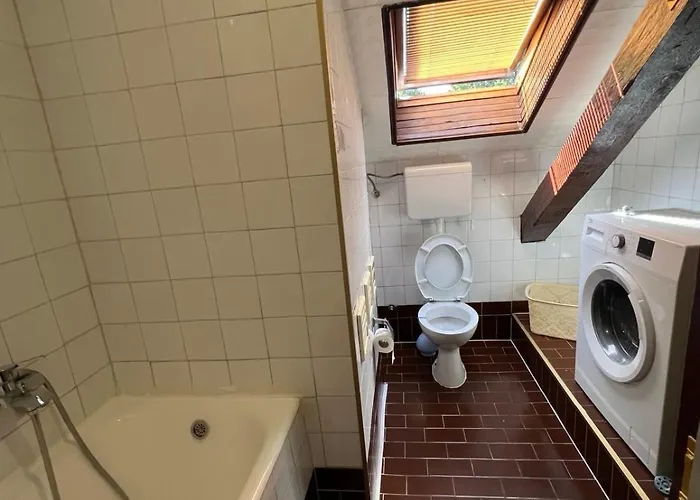 Apartman Downtown Nest *